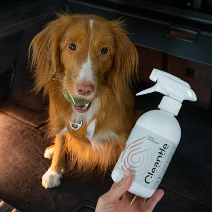 Geurspray Cleantle - Odour Terminator 500ml